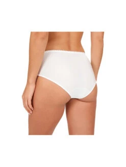 Felina Culotte Haute RHAPSODY -sous-vêtement boutique culotte haute rhapsody 4