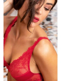 Meilleures ventes -sous-vêtement boutique soutien gorge glamour rouge splendeur soie 1